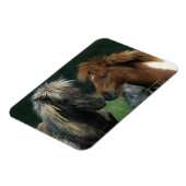 Magnet Flexible Chevaux miniatures Touchant (Côté Gauche)