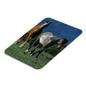 Magnet Flexible Chevaux Mustang Sauvages (Côté Gauche)