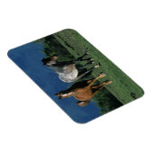 Magnet Flexible Chevaux Mustang Sauvages (Côté Droit)