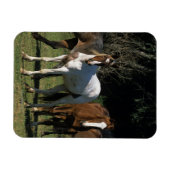 Magnet Flexible Chevaux Mustang Sauvages 1 (Horizontal)