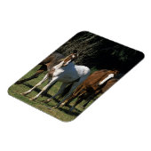 Magnet Flexible Chevaux Mustang Sauvages 1 (Côté Gauche)