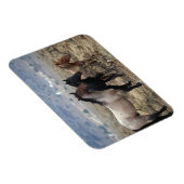 Magnet Flexible Chevaux Mustang sauvages 5 (Côté Droit)