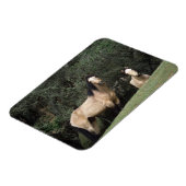 Magnet Flexible Chevaux Mustang Sauvages 6 (Côté Gauche)