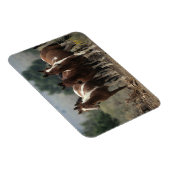 Magnet Flexible Chevaux Mustang Sauvages 7 (Côté Droit)