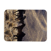 Magnet Flexible Chevaux Mustang sauvages dans le désert 1 (Horizontal)