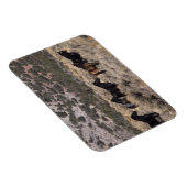 Magnet Flexible Chevaux Mustang sauvages dans le désert 2 (Côté Droit)