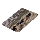 Magnet Flexible Chevaux Mustang sauvages dans le désert 2 (Côté Gauche)