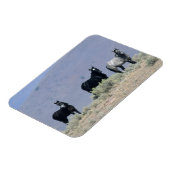 Magnet Flexible Chevaux Mustang sauvages dans le désert 3 (Côté Gauche)