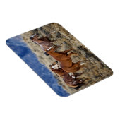 Magnet Flexible Chevaux Parcourir les collines (Côté Droit)