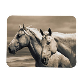 Magnet Flexible Chevaux Quarter Horse dans la prairie canadienne