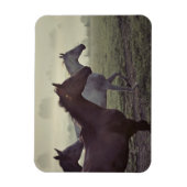 Magnet Flexible Chevaux sauvages (Vertical)