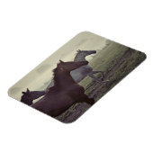 Magnet Flexible Chevaux sauvages (Côté Gauche)