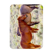 Magnet Flexible Chevaux sauvages (Vertical)