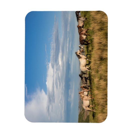 Magnet Flexible Chevaux sauvages dans le parc national Theodore Ro (Vertical)