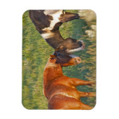 Magnet Flexible Chevaux sauvages dans le parc national Theodore Ro (Vertical)
