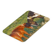 Magnet Flexible Chevaux sauvages dans le parc national Theodore Ro (Côté Gauche)