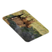 Magnet Flexible Chevaux sauvages dans le parc national Theodore Ro (Côté Droit)