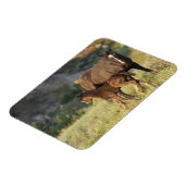 Magnet Flexible Chevaux sauvages dans le parc national Theodore Ro (Côté Gauche)