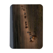 Magnet Flexible Chevaux Sauvages Marchant Vers Le Désert (Vertical)