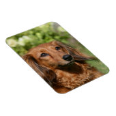 Magnet Flexible Cheveux miniature rouge (Côté Droit)