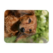 Magnet Flexible Cheveux miniature rouge (Horizontal)