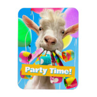 Chèvre avec des pétards de fête