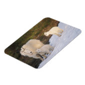 Magnet Flexible chèvre de montagne (Côté Gauche)