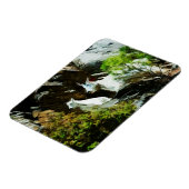 Magnet Flexible Chèvre de montagne et bébé Abstrait (Côté Gauche)