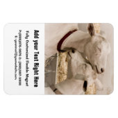 Magnet Flexible Chèvres en train de se battre (Horizontal)