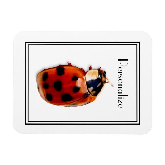 Magnet Flexible Chic Spotted Ladybug Avec Nom (Horizontal)