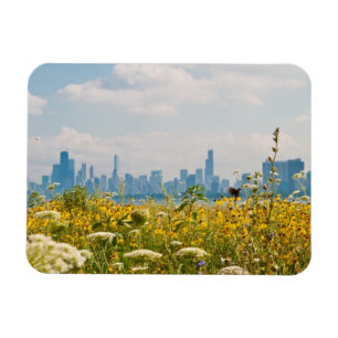 Magnet Flexible Chicago comme vu de l'oiseau du port de Montrose