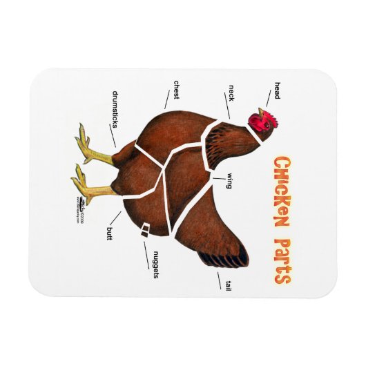 Magnet Flexible Chicken (Horizontal)