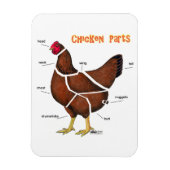 Magnet Flexible Chicken (Vertical)