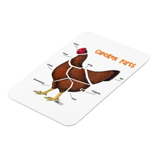 Magnet Flexible Chicken (Côté Gauche)