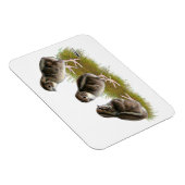 Magnet Flexible Chicks de Coturnix (Côté Droit)