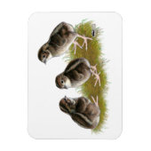 Magnet Flexible Chicks de Coturnix (Vertical)