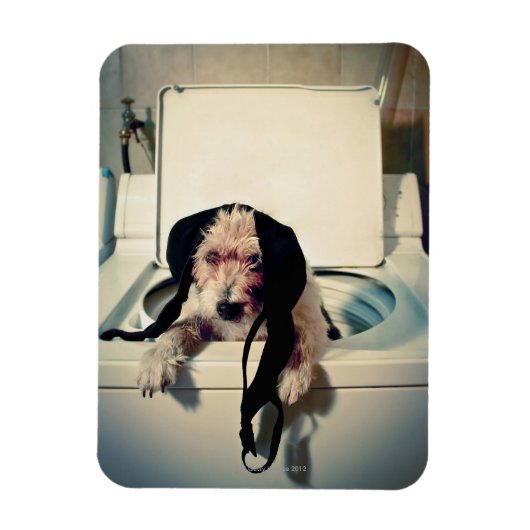 Magnet Flexible Chien aidant avec le lavage (Vertical)