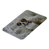 Magnet Flexible Chien assis dans le givre (Côté Gauche)