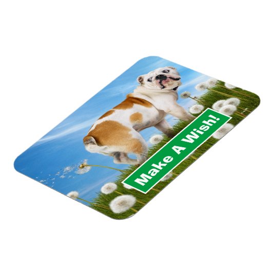Magnet Flexible Chien avec Dandelion (Côté Gauche)