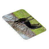 Magnet Flexible Chien berger allemand (Côté Droit)