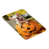 Magnet Flexible Chien dans Jack-o-Lantern (Côté Droit)