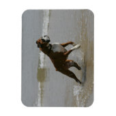 Magnet Flexible Chien de boîte dans l'eau (Vertical)