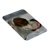 Magnet Flexible Chien de boxe dans la neige (Côté Droit)