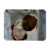 Magnet Flexible Chien de boxe dans la neige (Horizontal)