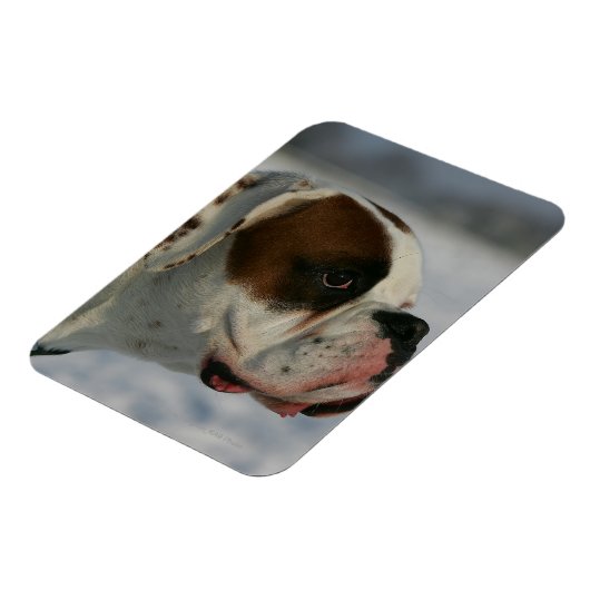 Magnet Flexible Chien de boxe dans la neige (Côté Gauche)