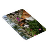 Magnet Flexible Chien de boxe dans les fleurs (Côté Droit)