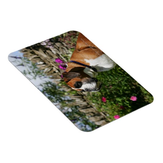 Magnet Flexible Chien de boxe dans les fleurs (Côté Droit)