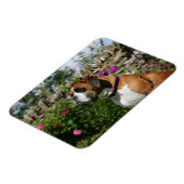 Magnet Flexible Chien de boxe dans les fleurs (Côté Gauche)