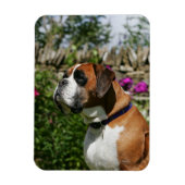 Magnet Flexible Chien de boxe dans les fleurs (Vertical)