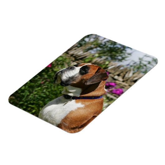 Magnet Flexible Chien de boxe dans les fleurs (Côté Gauche)